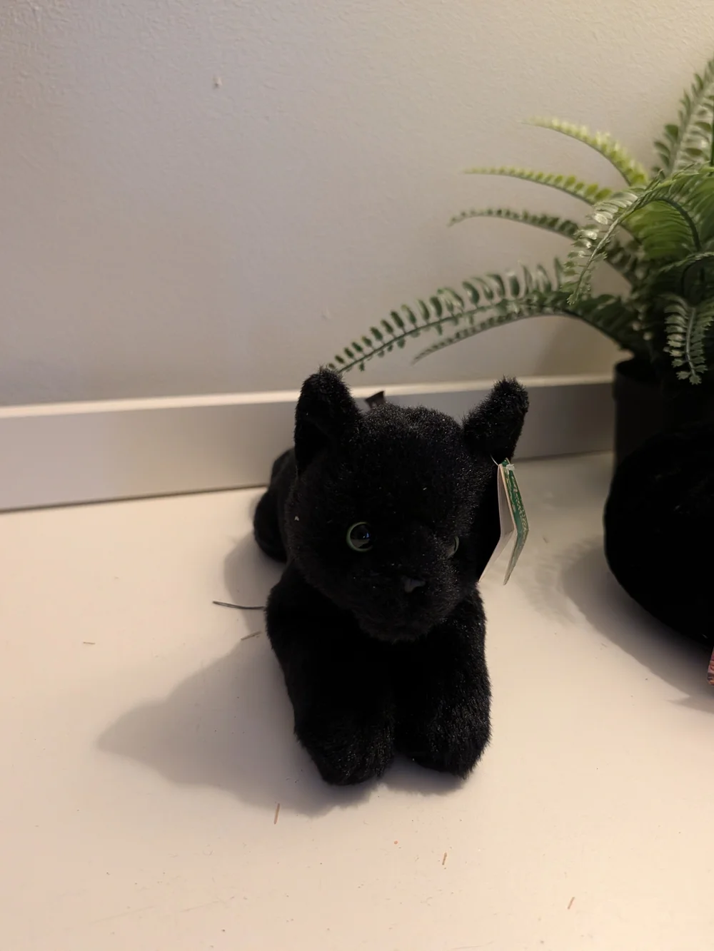 Black Velvet Pumpkin & Plush Black Cat Home Accent Duo